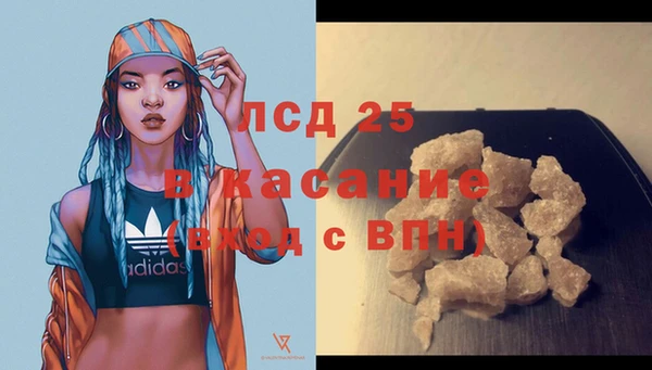 трава Богородицк