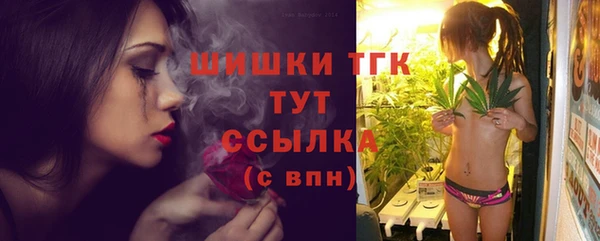 ECSTASY Богородск