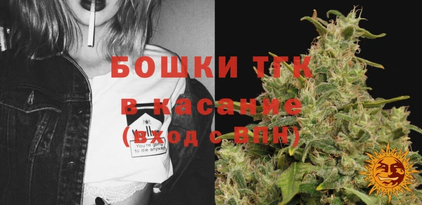 ECSTASY Богородск