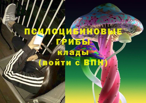 трава Богородицк
