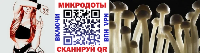 купить наркотик  Мончегорск  Псилоцибиновые грибы Magic Shrooms 